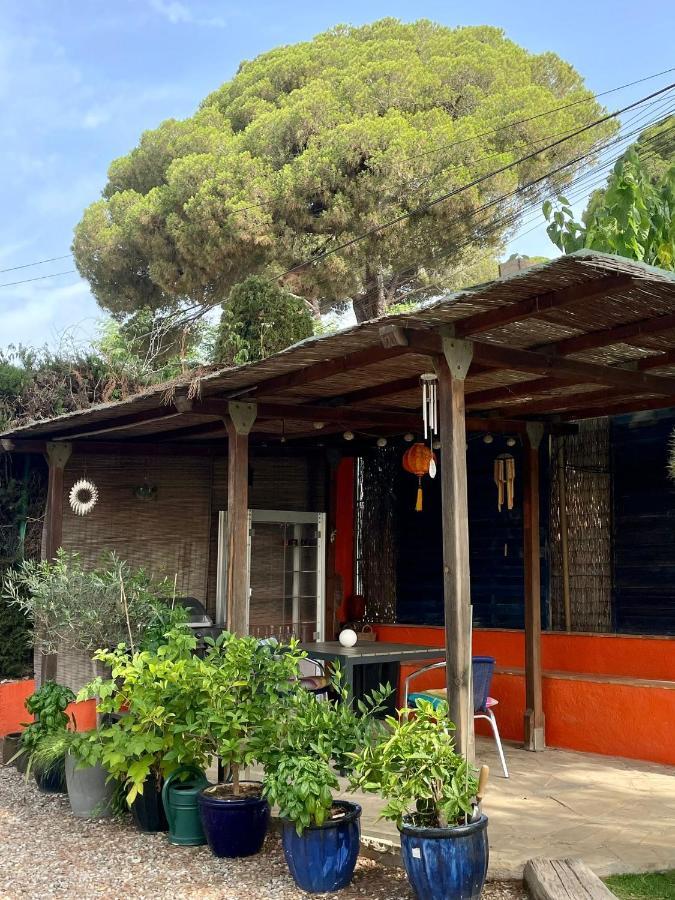 Palm Maresme - Suite With Bathroom And Terrasse With Ocean Views In A Private Villa Vilassar De Dalt Extérieur photo