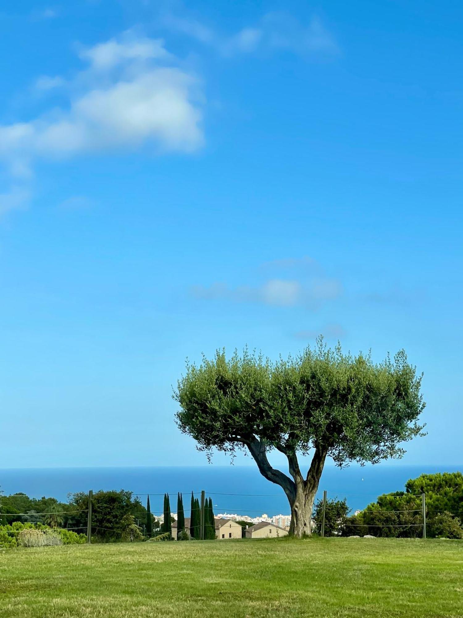 Palm Maresme - Suite With Bathroom And Terrasse With Ocean Views In A Private Villa Vilassar De Dalt Extérieur photo